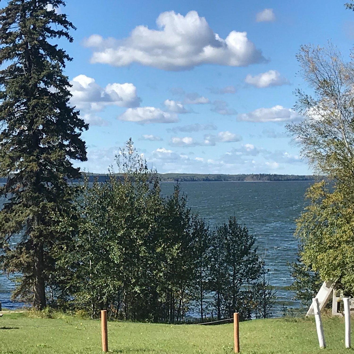 View of a lake past some trees.